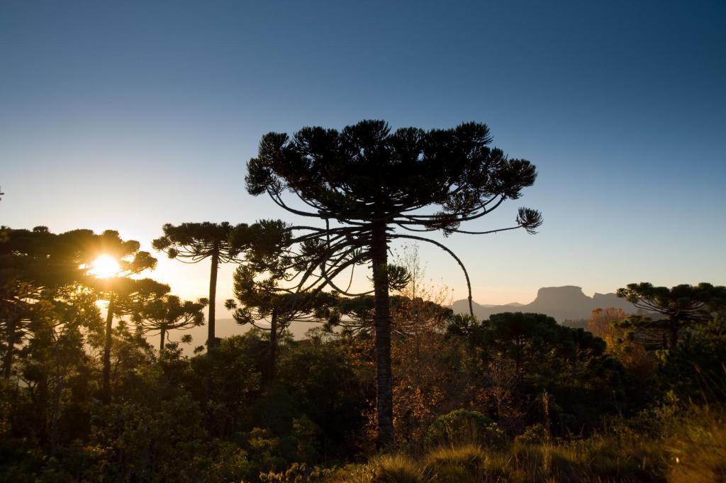 Hotel Frontenac Campos do Jordão 外观 照片